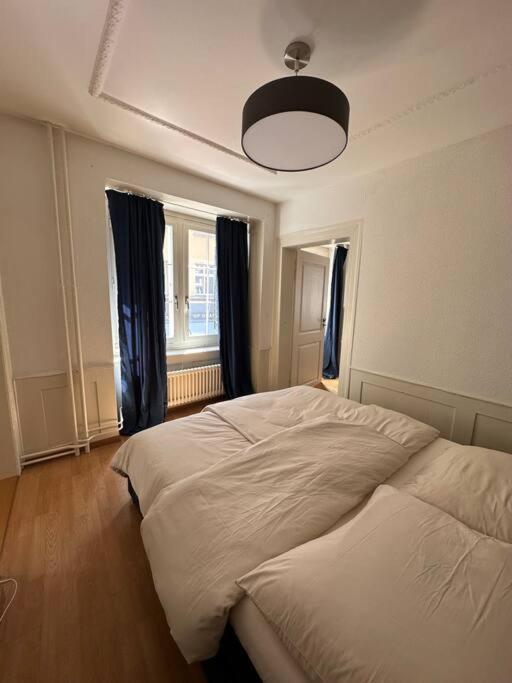Cozy Apartment In Oldtown Zurich5 Zurique Exterior foto